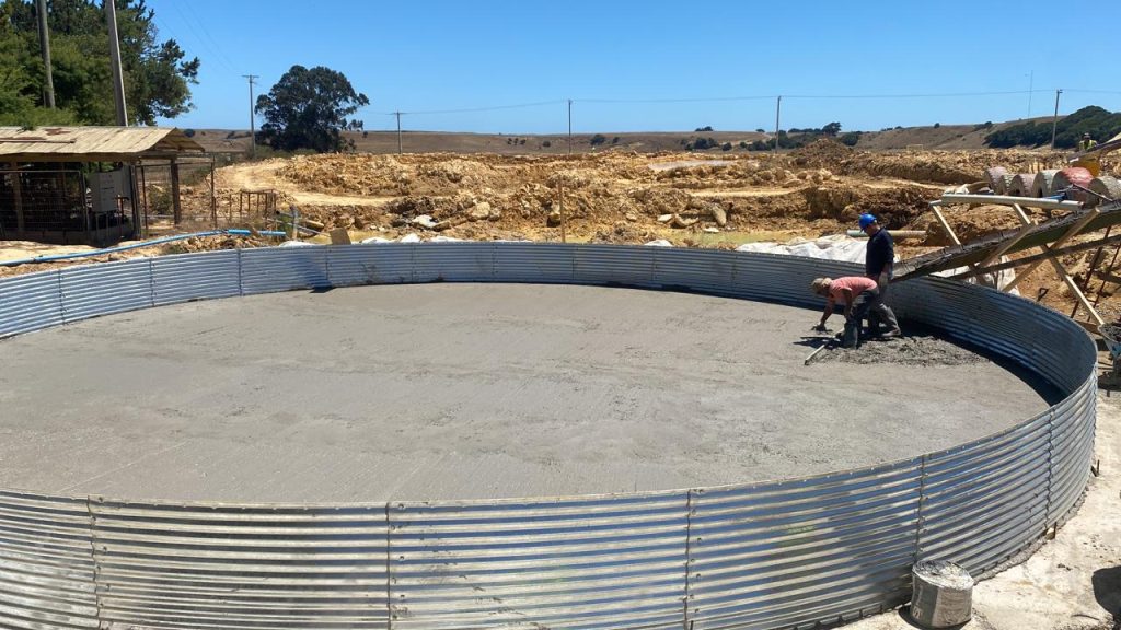 WhatsApp Image 2025-04-03 at 12.42.42