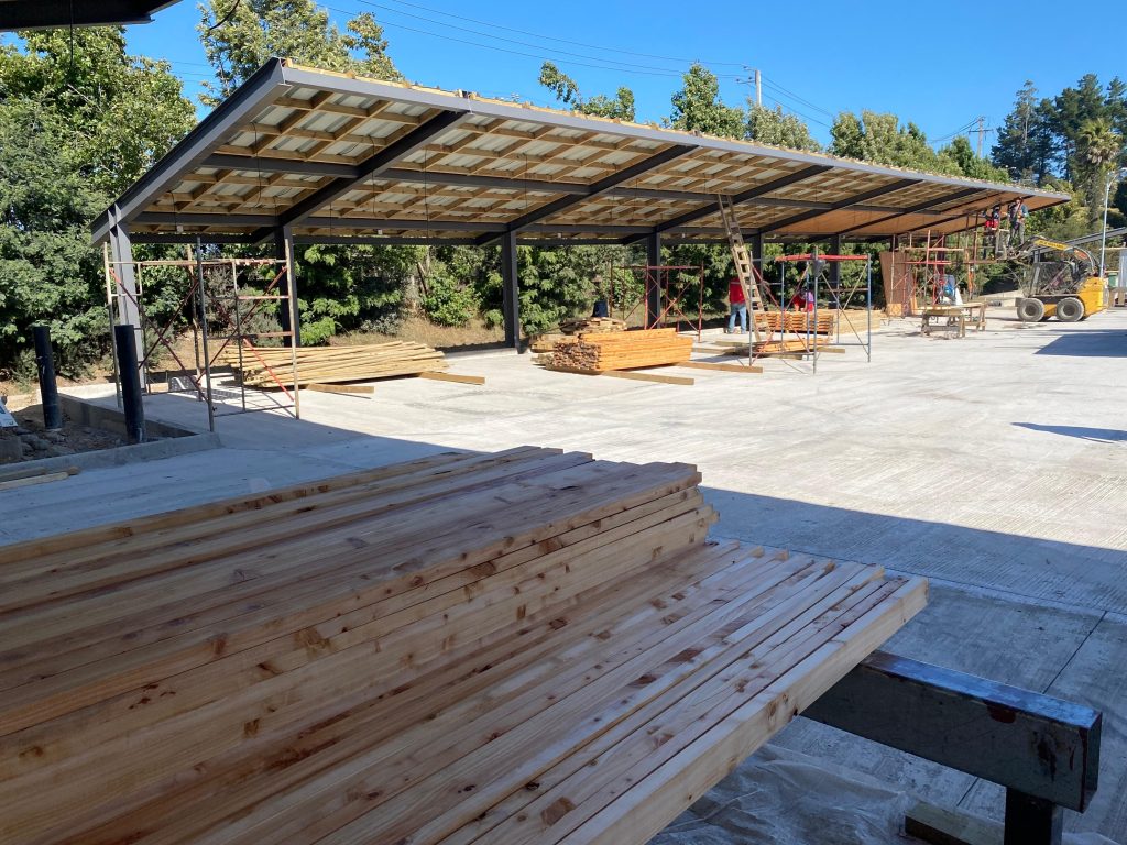 WhatsApp Image 2025-04-03 at 16.27.00 (3)